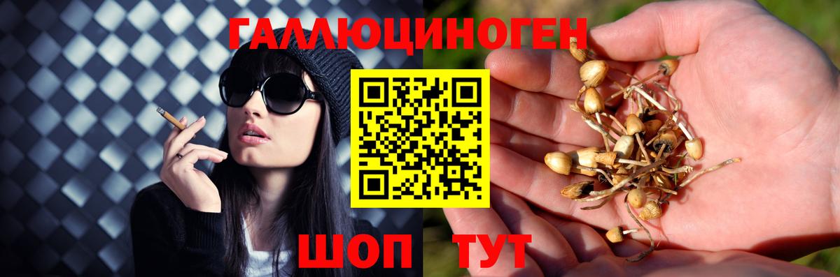 Галлюциногенные грибы мухоморы Отрадное